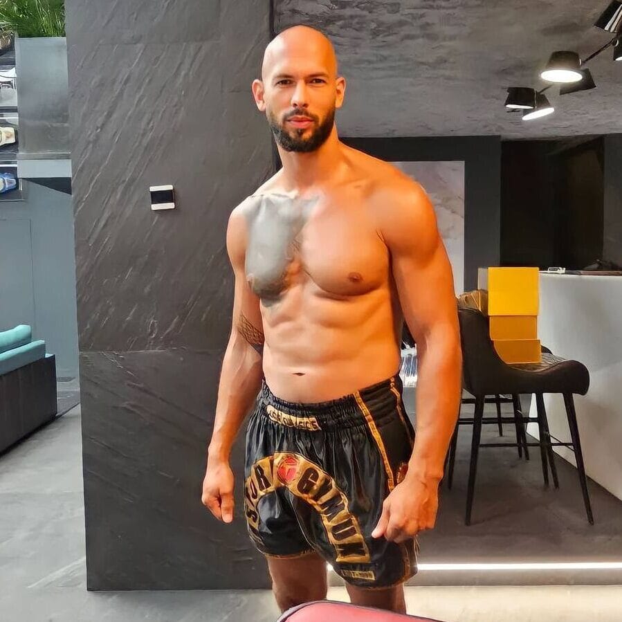 Golden Storm - Image 4